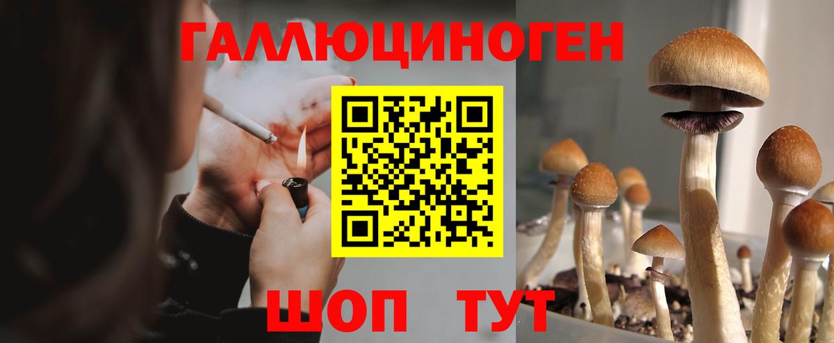 Ртищево  купить наркотик  Вход с VPN  Псилоцибиновые грибы GOLDEN TEACHER 